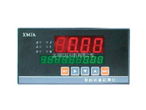 XMJA系列智能流量積算儀